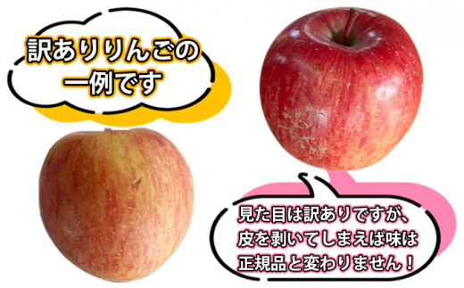 【3～4月発送】家庭用CAりんご シナノゴールド 訳アリ小玉 約5kg食べきりサイズ