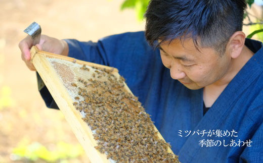 季節で移ろう田舎はちみつボトル7種セット ピタッとボトルB7 茨城県共通返礼品 五霞町生ハチミツ 非加熱 茨城県産