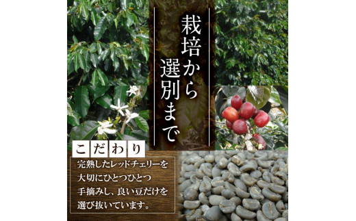 深煎マウンテンコーヒー (粉・200g×2P) 珈琲 コーヒー 飲料 ドリンク 大分県 佐伯市 【EC05】【天然素材 (株)】