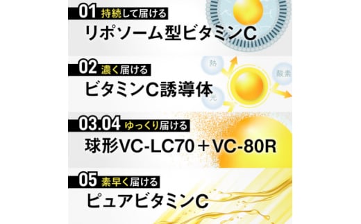 ビタミンCサプリメント ビタクリアC リポソームビタミンC配合 ビタミンC1,000mg 3袋セット【1495255】