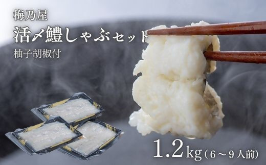 活〆鱧しゃぶしゃぶセット 1200g（6～9人前）