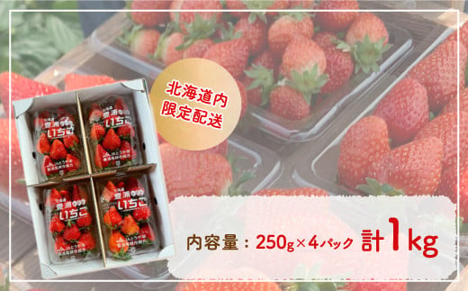 【北海道内限定配送】いちご「けんたろう」250g×4パック 【ふるさと納税 人気 おすすめ ランキング 果物 いちごイチゴ 苺 国産いちご 国産苺 けんたろう セット おいしい 美味しい 甘い 北海道 豊浦町 送料無料】 TYUAB002