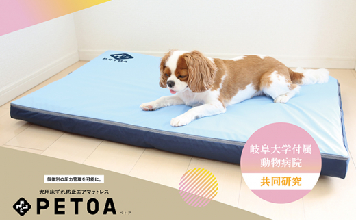 【ペット用品 犬】犬用床ずれ防止エアマット PETOA-ペトア- (小型犬用) ブルー 寝たきりのワンちゃん向け [№5787-0800]