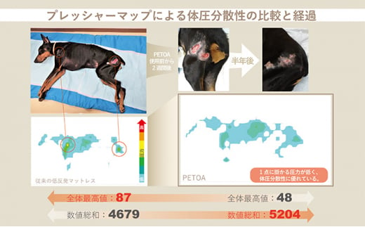 【ペット用品 犬】犬用床ずれ防止エアマット PETOA-ペトア- (小型犬用) ブルー 寝たきりのワンちゃん向け [№5787-0800]