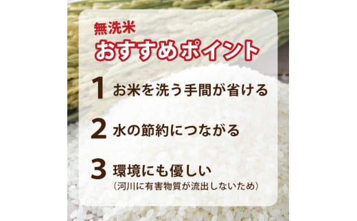 【無洗米】新米 令和6年 10kg ひとめぼれ 一等米 | 選べる 精米 / 無洗米 ブランド米 銘柄米 お米 お弁当 おにぎり 袋 米 コメ こめ 白米 ごはん ご飯 白飯 飯 岩手県 いわて 金ケ崎町