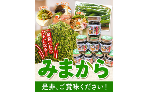 薬味 みまから 8本セット 《30日以内に出荷予定(土日祝除く)》工房ロマン 徳島県 美馬市 みまから 特産品 美馬市産 青唐辛子 唐辛子 冷奴 ラーメン お鍋