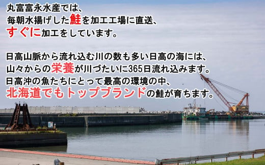 北海道産 網元特製 塩いくら 鮭卵 300g いくら イクラ 塩漬け 鮭 サケ 魚卵