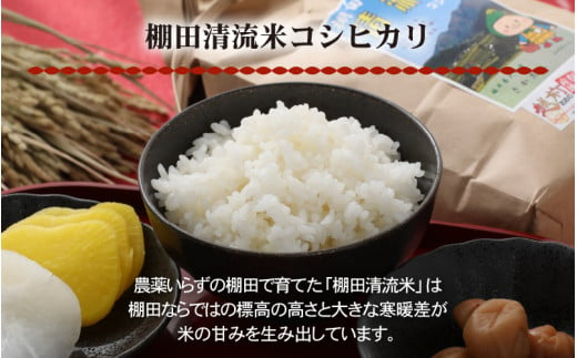  【令和6年産 新米】名水の里越前大野の「お米食べ比べセット」コシヒカリ・あきさかり・ミルキークイーン 各2kg×1袋