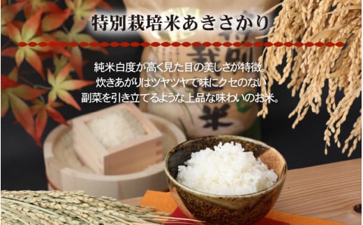  【令和6年産 新米】名水の里越前大野の「お米食べ比べセット」コシヒカリ・あきさかり・ミルキークイーン 各2kg×1袋