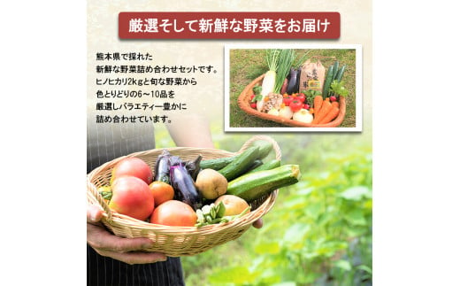 【定期便12回】毎月お届け!旬のお任せセット お米(ヒノヒカリ) 2kg・ 旬の新鮮お野菜(6～10品目)セット (詰め合わせ) | 熊本県 和水町 くまもと なごみまち なごみ ヒノヒカリ ひのひかり米 単一原料米 2kg 野菜 旬 旬の野菜 産地直送 詰め合わせ セット 定期 定期便 12回