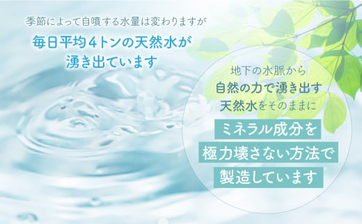 【定期便】【山梨　道志村の天然水】doshiwater (2L×6袋×2箱)　初回のみ専用ウォーターケース付【5回定期】 ふるさと納税 水 天然水 ミネラルウォーター 自然水 ペットボトル 定期便 山梨県 道志村 送料無料 DSF004