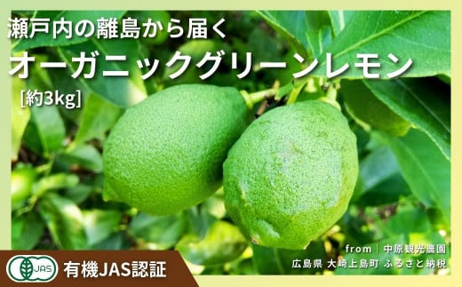 大崎上島産 有機JAS認証！オーガニックグリーンレモン 約3kg