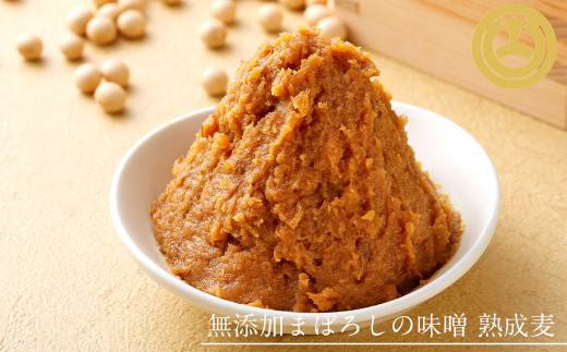 お味噌・お醤油の詰合せ みそ しょうゆ 合わせ味噌 麦味噌 濃口 薄口 無添加 調味料 熊本県 特産品