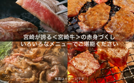 [№5738-0069]宮崎牛 赤身セット700g（モモ ステーキ 100g×2・モモ 焼肉 150g・モモ スライス 200g・赤身サイコロ150g）※配送不可：一部離島