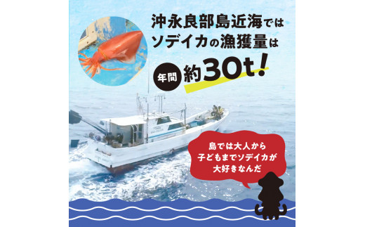 冷凍保存OK！エメラルドブルーの美しい海で育ったおいしいソデイカ冷凍ブロック1.5キロ （4～5人前）！　W022-029u