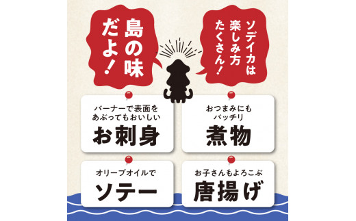 冷凍保存OK！エメラルドブルーの美しい海で育ったおいしいソデイカ冷凍ブロック1.5キロ （4～5人前）！　W022-029u