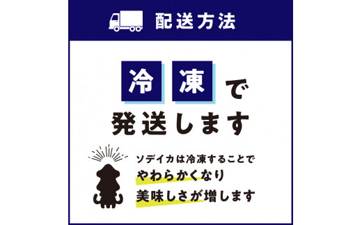 冷凍保存OK！エメラルドブルーの美しい海で育ったおいしいソデイカ冷凍ブロック1.5キロ （4～5人前）！　W022-029u