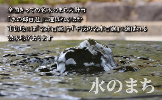 【令和6年産 新米】【3ヶ月定期便】こしひかり 30kg×3回 計90kg（白米）「エコファーマー米」－水のまちのお米－