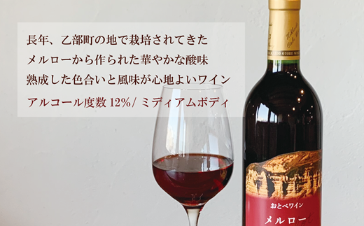 【数量限定】＜おとべワイン　メルロー・ヤマソービニヨン　750ml×各1本セット＞北海道 乙部町 道産 道南 道南ワイン おとべワイン ワイン 赤ワイン ミディアムフルボディ 限定 限定品 芳醇 香り