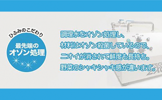 【全12回定期便】《具材付》長崎冷凍皿うどん 総計120食（10食×12回）長崎県/ひふみ [42AABZ025] 皿うどん 麺 麺類 スープ 冷凍 小分け 具付き 簡単調理 ギフト 長崎