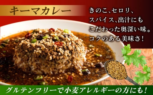 スパイスカレー満足食べ比べセット9パック(バターチキンカレー/グリーンカレー/キノコとセロリのキーマカレー) 長崎県/ダイニング味遊 [42ACAG080]