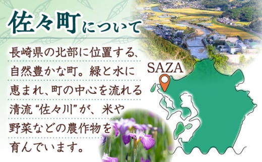 【返礼品なし】長崎県佐々町 ふるさと応援寄附金（1,000円分） [QBT001]