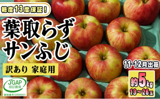 [№5554-0176]11～12月発送【糖度保証】家庭用 葉取らず サンふじ 約5kg【訳あり】【鶴翔りんごGAP部会 青森県産 津軽産 リンゴ 林檎】