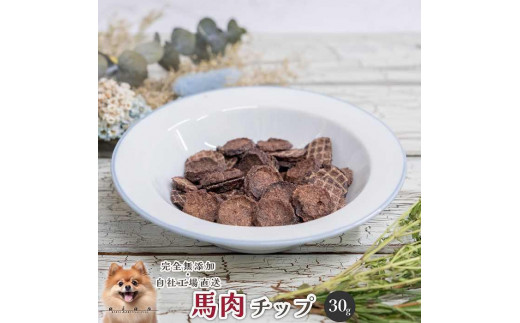 【 愛犬 ・ 愛猫 用】無添加 おやつ 5種セット 