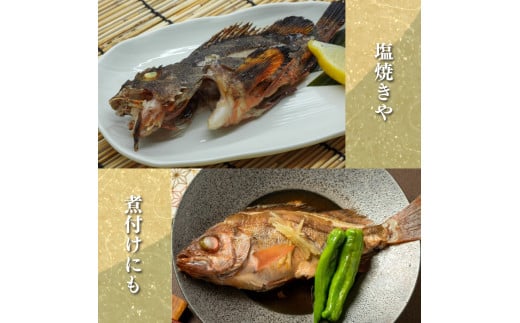 訳あり メバル 3尾 大きさ不揃い 下処理済み 冷凍 ワガ 3匹 魚介類 魚貝類 めばる 煮付け 塩焼き メバル めばる 新鮮 簡単調理 便利 めばる 海鮮 高級 海産物 メバル 数量限定 鮮魚 愛知県 南知多町 人気 おすすめ