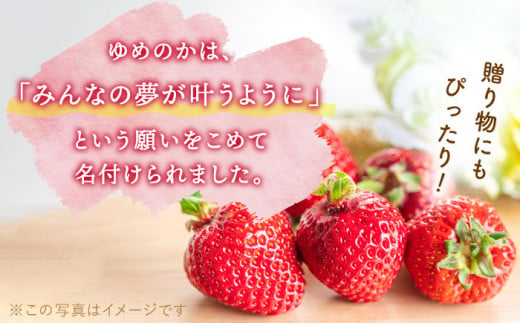 【先行予約・全2回定期便・3,4月発送】佐々町産 いちご 「ゆめのか」約1.0kg （250g×4パック）/回 （総量計2.0kg）【市丸農園 いちご研究室】 [QBF002]