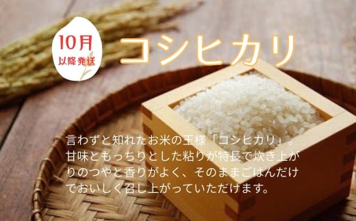 お米 令和7年産 新米 5kg コシヒカリ 特別栽培米  先行予約  【2025年10月以降発送】 精米 米 こめ コメ 白米 ごはん ライス 愛媛 伊予市｜C151