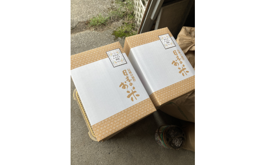 お米 令和7年産 新米 5kg コシヒカリ 特別栽培米  先行予約  【2025年10月以降発送】 精米 米 こめ コメ 白米 ごはん ライス 愛媛 伊予市｜C151