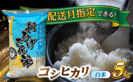 【7月発送】コシヒカリ　白米　5kg　米　お米　ご飯　愛西市/脇野コンバイン [AECP021-11]