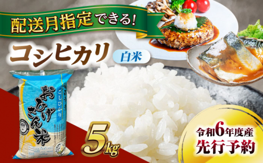 【7月発送】コシヒカリ　白米　5kg　米　お米　ご飯　愛西市/脇野コンバイン [AECP021-11]