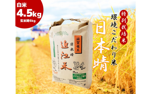  2023年産 日本晴れ 白米 4.5kg （ 玄米時 5kg ） お米 おこめ 米 化学肥料不使用 特別栽培米 国産 近江米 農家直送 産地直送 滋賀県 竜王町 送料無料