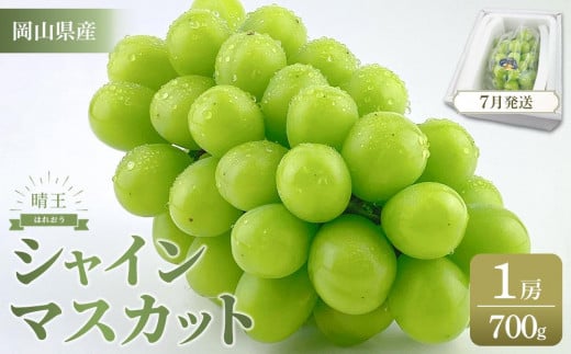 【2025年7月以降発送】岡山県産 シャインマスカット 晴王 1房 約700g 種無し 皮ごと食べる フレッシュ 先行受付 ハレノフルーツ