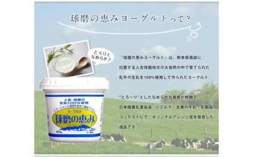 リキュール 特濃ヨーグルト とろ～り くまモンデザイン 箱付き 500ml