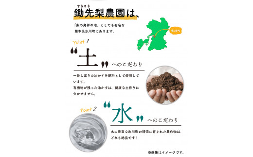 梨 フルーツ 熊本 県 氷川 町 産 鋤先梨農園の梨 約3kg 鋤先梨農園 《9月上旬-10月下旬出荷》 熊本県 氷川町 あきづき 甘太 新高 新興 旬 フルーツ 大容量 梨 