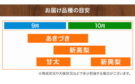 梨 フルーツ 熊本 県 氷川 町 産 鋤先梨農園の梨 約3kg 鋤先梨農園 《9月上旬-10月下旬出荷》 熊本県 氷川町 あきづき 甘太 新高 新興 旬 フルーツ 大容量 梨 