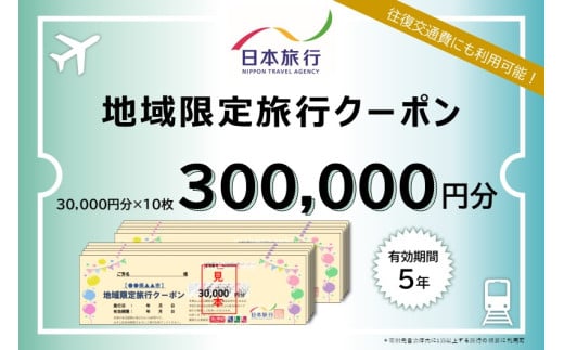 京都府宮津市　日本旅行　地域限定旅行クーポン300,000円分[№5716-0270]