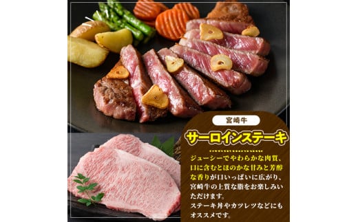 宮崎牛 サーロインステーキ(計400g・2枚) 希少部位 BBQ 牛肉 肉 ブランド牛  冷凍 国産 精肉 お取り寄せ 黒毛和牛 宮崎県 【LJ015】【レグセントジョイラー株式会社】