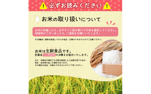 【2025年1月中旬】令和6年産 はえぬき 10kg（5kg×2袋） 山形県産 2024年産 【 精米 白米 東北 山形産 国産 10キロ 5キロ 2袋 食品 お取り寄せ 小分け ご飯 発送時期 配送時期 発送月 配送月 選べる ランキング 入賞歴 銘柄米 ロングセラー ブランド米 寒河江市 】020-C-JA010-2025-1中