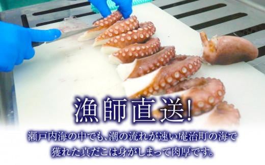 瀬戸内地だこの一本足