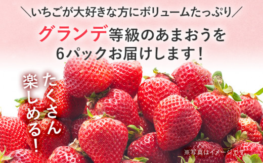 【2025年発送先行予約】あまおうボリュームセット(約280g x G6パック) お取り寄せグルメ お取り寄せ 福岡 お土産 九州 福岡土産 取り寄せ グルメ 福岡県