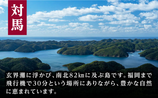 天然 桜鯛 フィーレ 1kg 《対馬市》【対馬新鮮組】 下処理済 鯛 真鯛 サクラダイ 新鮮 お祝い 冷凍配送 産地直送 [WCS002]