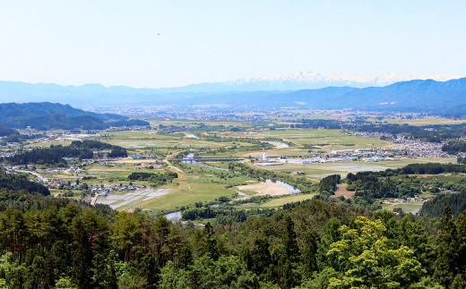 白鷹町への寄附（返礼品はありません） 5,000円 山形県 白鷹町 返礼品なし