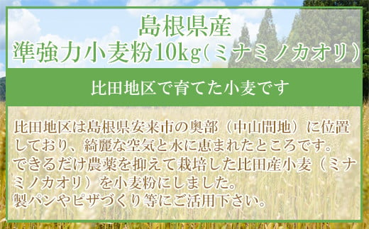 準強力小麦粉10kg（ミナミノカオリ）【パン作り ピザ作り 製パン 手造りパン 国産】