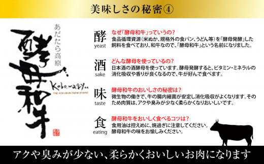 【定期便3回】《寄附額改定》あだたら酵母牛（すきやき・しゃぶしゃぶ用） もも 500g 計3回（計1.5kg）【02118】 もも肉 モモ肉 和牛