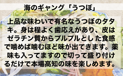 ≪ヤマシン≫ 土佐のウツボのタタキ 　たたき うつぼ 魚 海鮮 250g~300g コラーゲン 特製タレ付き 珍味 お取り寄せグルメ お祝い 冷蔵