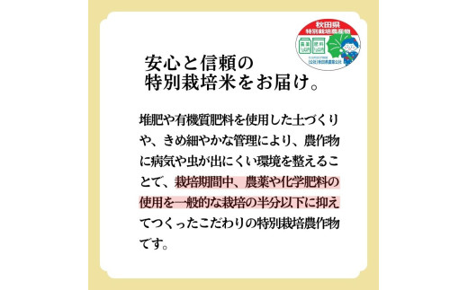 新米 米 お米 【玄米】特別栽培米 あきたこまち 5kg 秋田県産 令和6年産